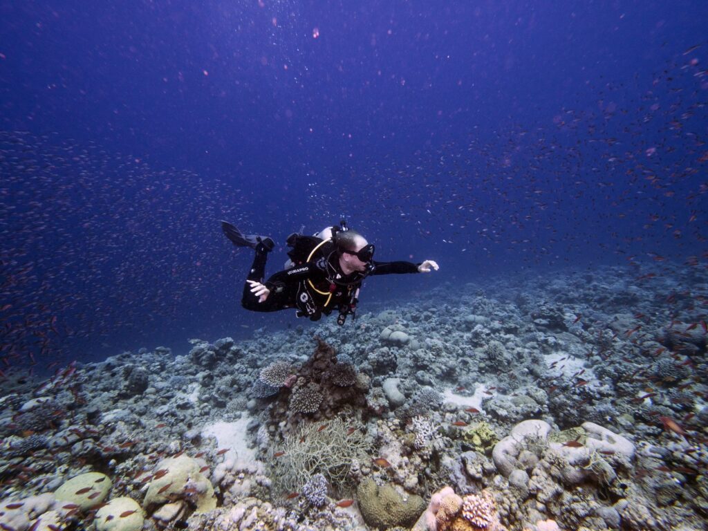 red-sea-dive-center-aqaba-jordan