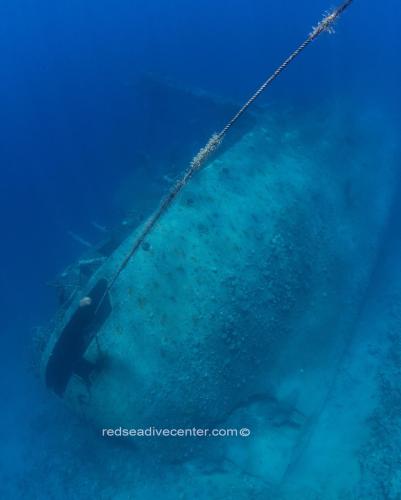 Red sea dive center cedar pride wreck aqaba