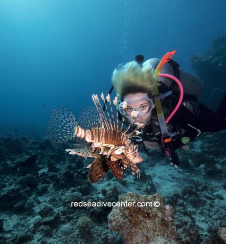 Red sea dive center 