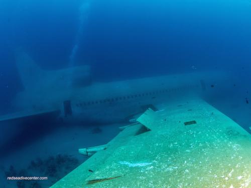 Red sea dive center 