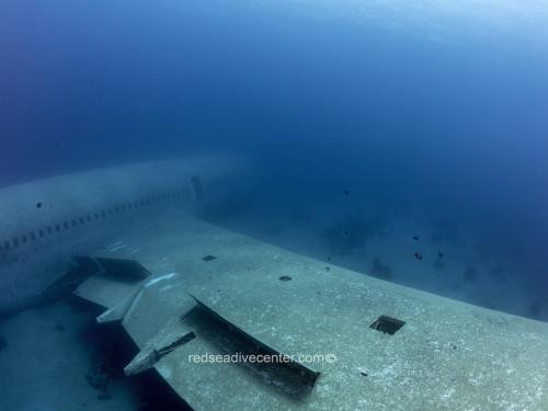 Red sea dive center 